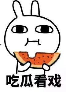 娱乐吃瓜酱懂事,洞察娱乐圈，解码明星心事